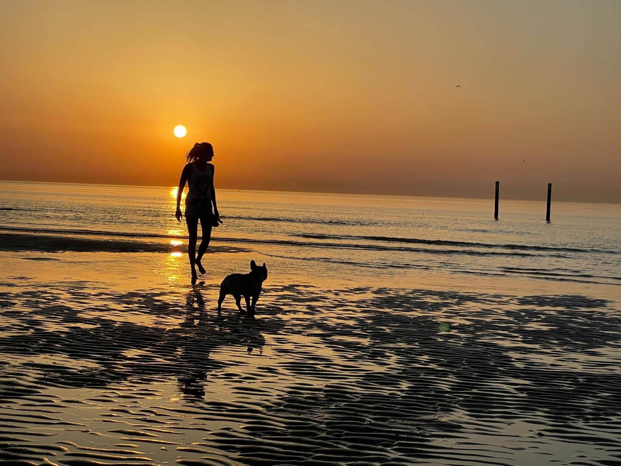 Studio By Aimee - 20M From The Beach & In City Centre! Oostende Eksteriør bilde
